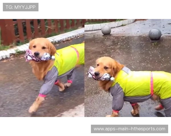 运动员暖心画面:比赛中“送伞送水”的感人瞬间 运动员暖心画面:比赛中“送伞送水”的感人瞬间